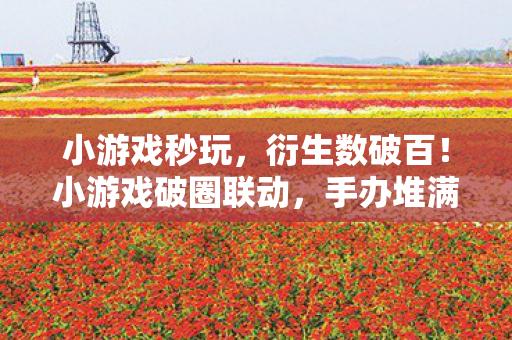 手办堆满屋却穷到意想不到图片