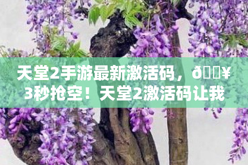 天堂2激活码让我重燃20年热血图片