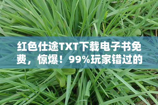 玩家错过的红色仕途3大隐藏体验图片