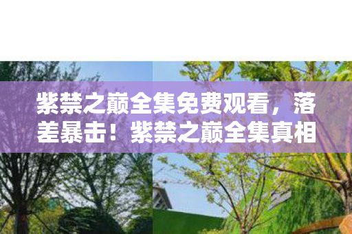 紫禁之巅全集免费观看图片