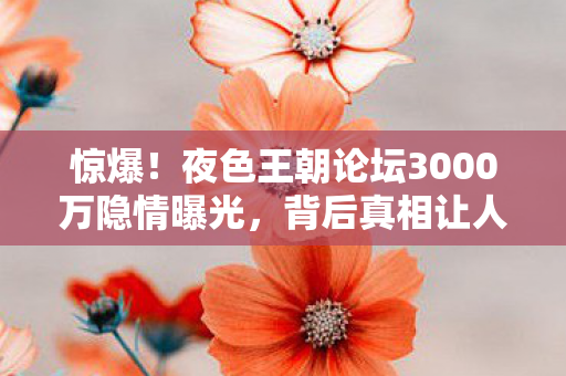 夜色王朝论坛3000万隐情曝光图片