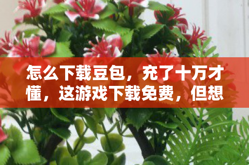 但想玩爽得再砸一套房图片