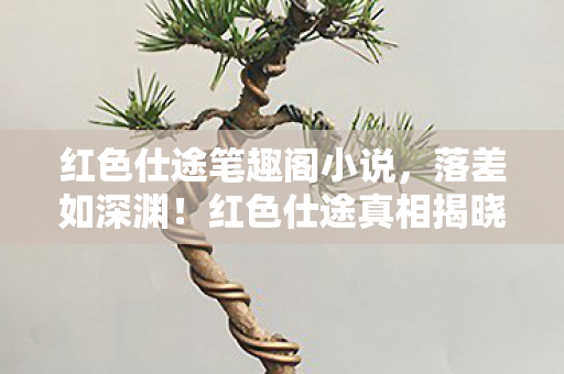 红色仕途笔趣阁小说图片