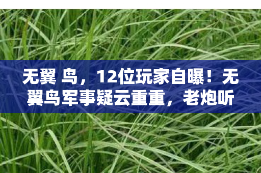 无翼鸟军事疑云重重图片