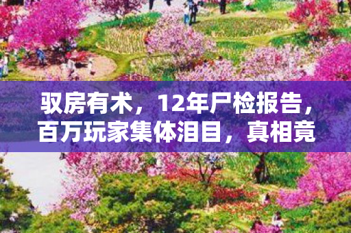 真相竟在死亡倒计时里图片