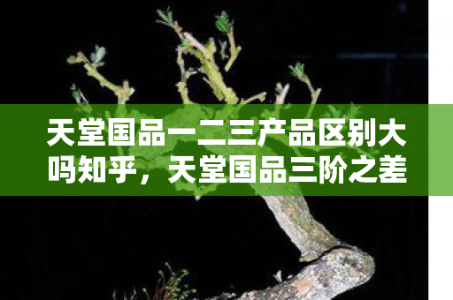 天堂国品一二三产品区别大吗知乎图片