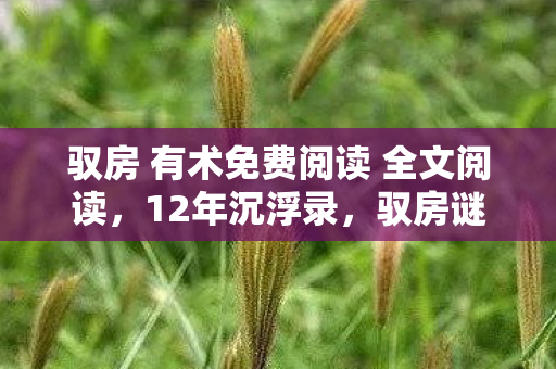 驭房 有术免费阅读 全文阅读图片
