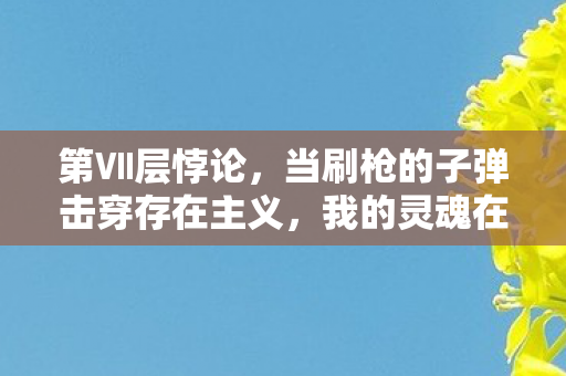 当刷枪的子弹击穿存在主义图片