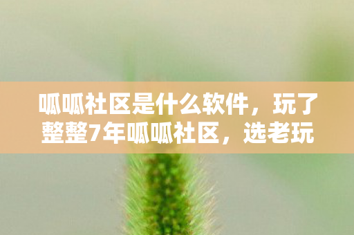 玩了整整7年呱呱社区图片