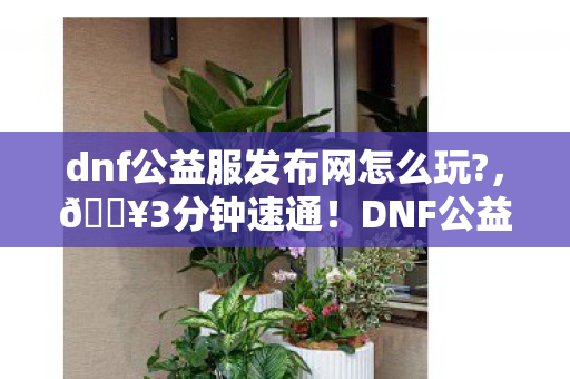 dnf公益服发布网怎么玩图片