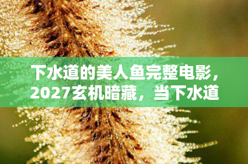 当下水道的美人鱼撕开我沉默的灵魂图片