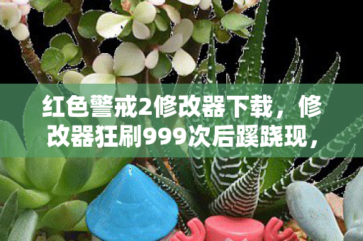 修改器狂刷999次后蹊跷现图片