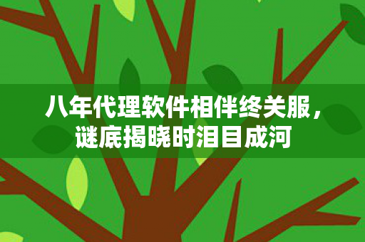八年代理软件相伴终关服图片