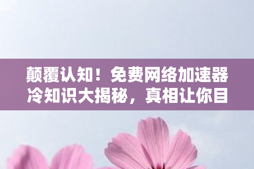 免费网络加速器冷知识大揭秘图片