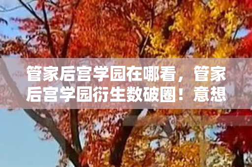管家后宫学园衍生数破圈图片