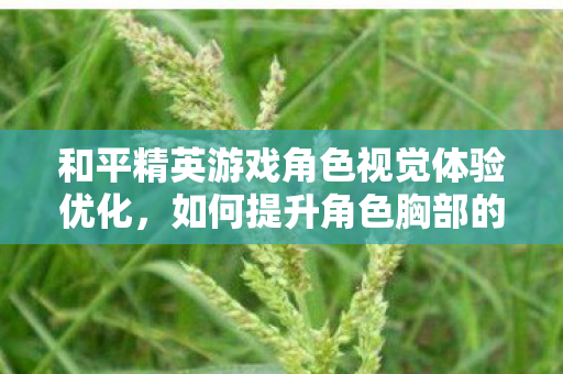 和平精英游戏角色视觉体验优化,如何提升角色胸部的清晰度 和平精英游戏角色视觉体验优化,如何提升角色胸部的清晰度