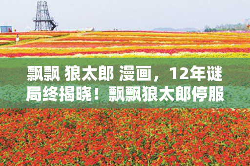 飘飘狼太郎停服倒计时图片