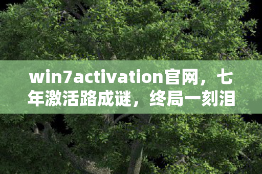 win7activation官网图片