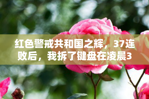 红警AI竟藏着人类最后的温柔图片