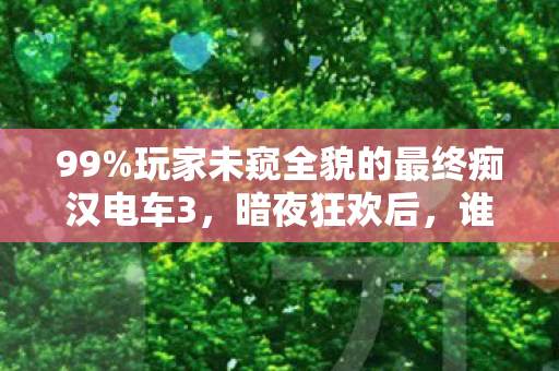玩家未窥全貌的最终痴汉电车3图片