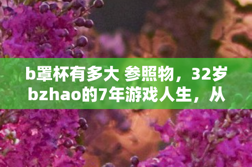 32岁bzhao的7年游戏人生图片