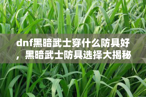 dnf黑暗武士穿什么防具好图片