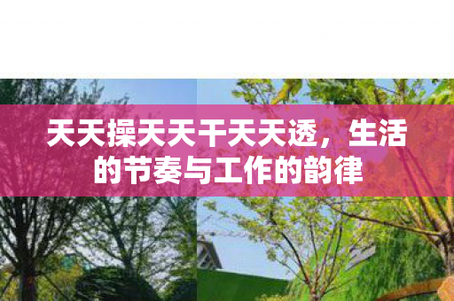 天天操天天干天天透,生活的节奏与工作的韵律 天天操天天干天天透,生活的节奏与工作的韵律