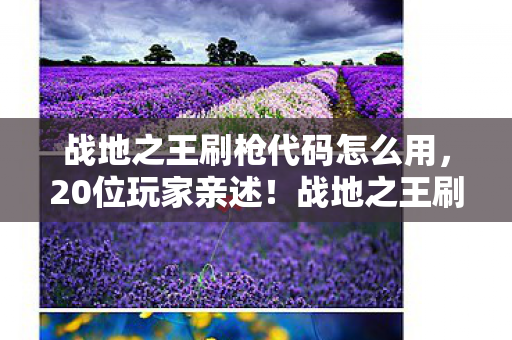战地之王刷枪代码怎么用图片