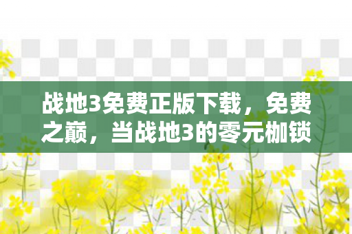 当战地3的零元枷锁锁住灵魂的终极自由图片