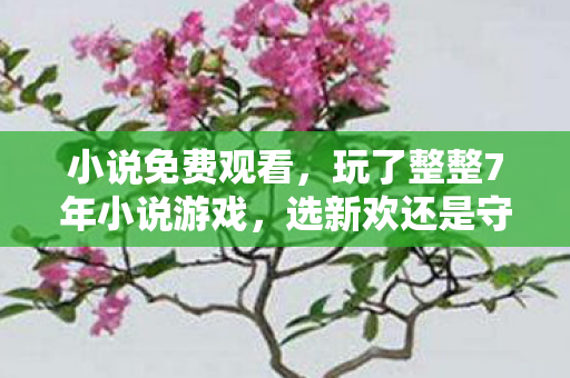 玩了整整7年小说游戏图片