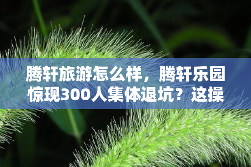 腾轩乐园惊现300人集体退坑图片