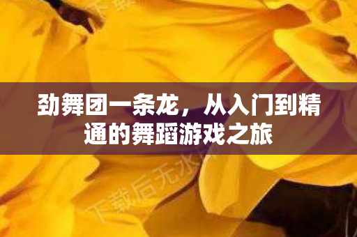 劲舞团一条龙，从入门到精通的舞蹈游戏之旅