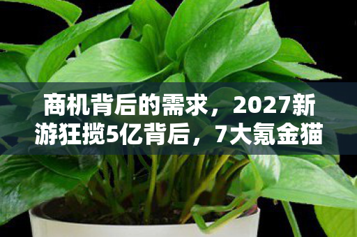 2027新游狂揽5亿背后图片