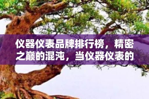 当仪器仪表的绝对层级撞上灵魂震颤的自由悖论图片