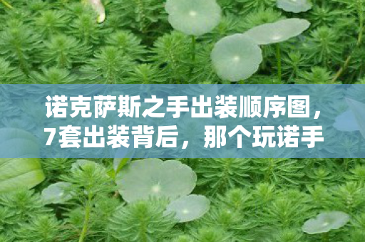 那个玩诺手的男人为何在深夜默默卸载游戏图片