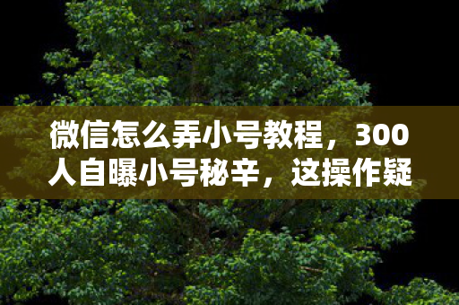 300人自曝小号秘辛图片