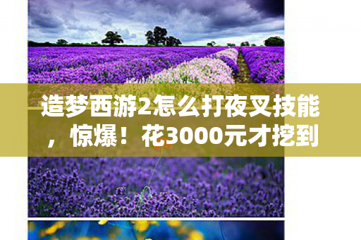 花3000元才挖到的夜叉隐情图片