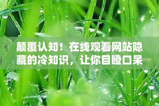 在线观看网站隐藏的冷知识图片