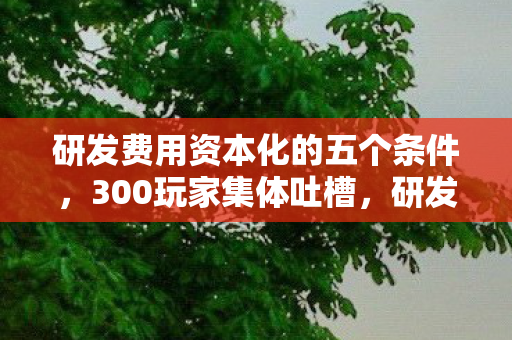 研发费用资本化的五个条件图片