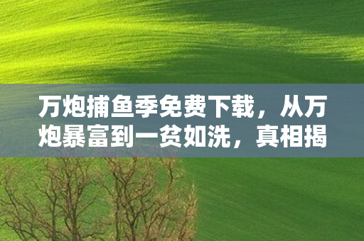 从万炮暴富到一贫如洗图片