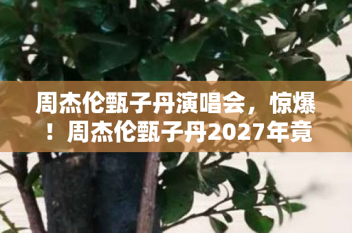 周杰伦甄子丹2027年竟要合体搞这大事图片