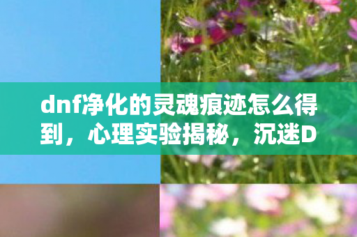 dnf净化的灵魂痕迹怎么得到图片
