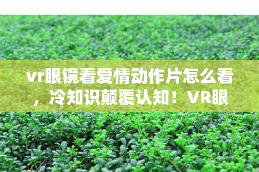 vr眼镜看爱情动作片怎么看图片