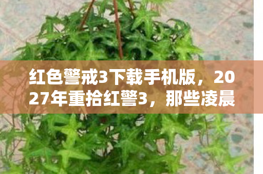 红色警戒3下载手机版图片