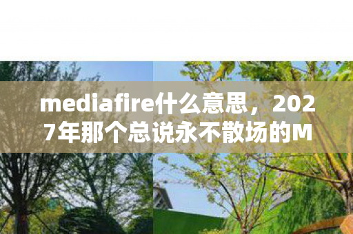 2027年那个总说永不散场的MediaFire伙伴图片