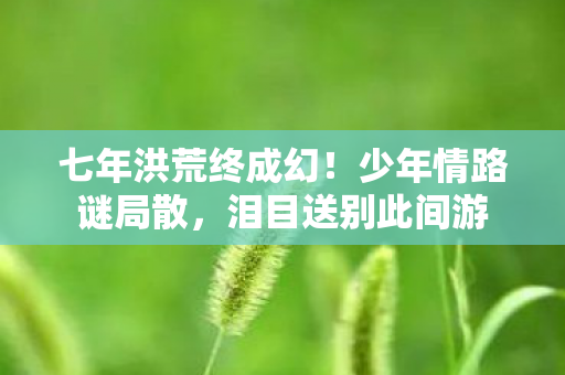 七年洪荒终成幻图片
