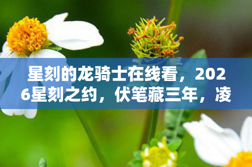 星刻的龙骑士在线看图片