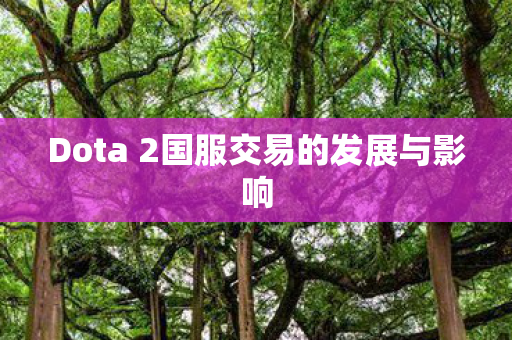 Dota 2国服交易的发展与影响 Dota 2国服交易的发展与影响