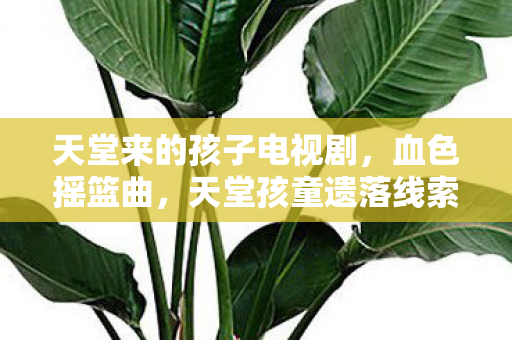 悬案背后毛骨悚然真相待解图片