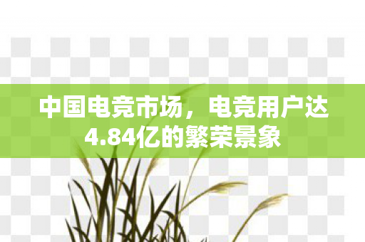 中国电竞市场,电竞用户达4.84亿的繁荣景象 中国电竞市场,电竞用户达4.84亿的繁荣景象